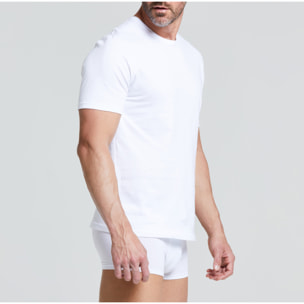 T-Shirt girocollo in cotone organico Cotton Planet vestibilità comfort