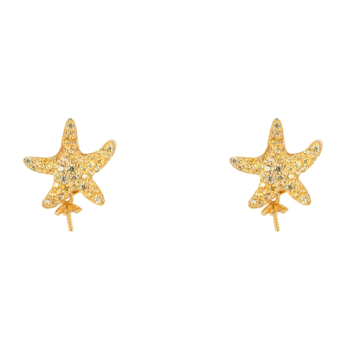 Pendientes Lancaster Mujer JLA-EAR-STAR-6