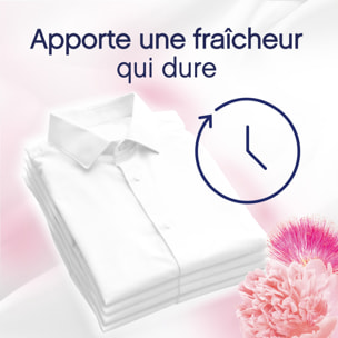 12x40 Lavages Pivoine et Fleur de Soie - Adoucissant Lenor