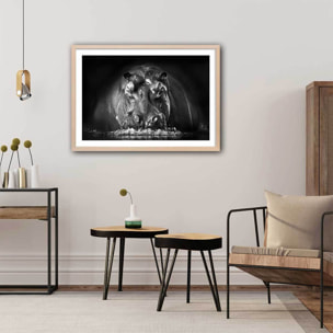 Affiche animaux portrait hippo Affiche + cadre en bois - Chêne