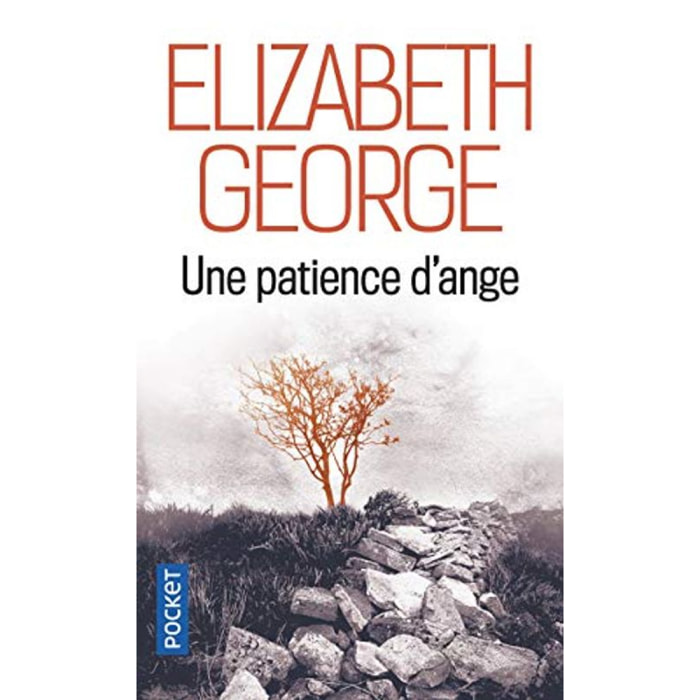 Elizabeth George | Une patience d'ange | Livre d'occasion