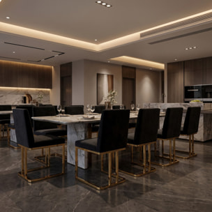 Sedia Imbottita in Effetto Velluto con Gambe Oro, Design Moderno ed Elegante per Sala da Pranzo, Cucina, Soggiorno, Studio e Ufficio