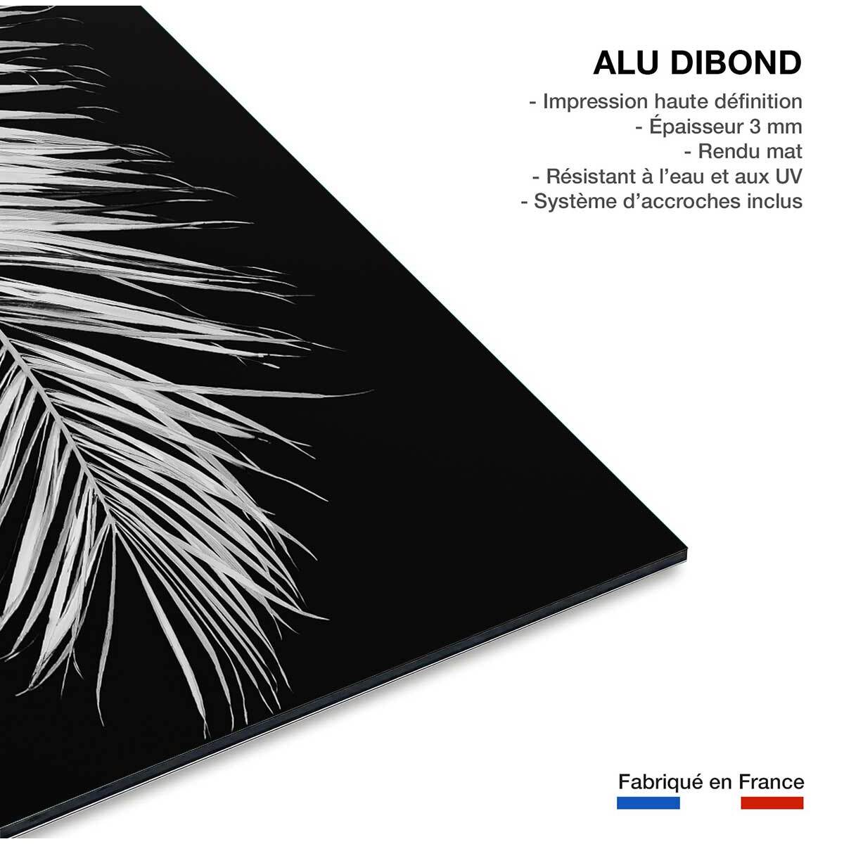 Tableau palme X Tableau alu Dibond