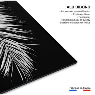 Tableau palme X Tableau alu Dibond