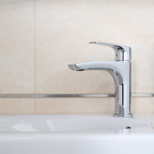 Project mitigeur monocommande 1/2" Lavabo, Chrome (SATBSPRO271)