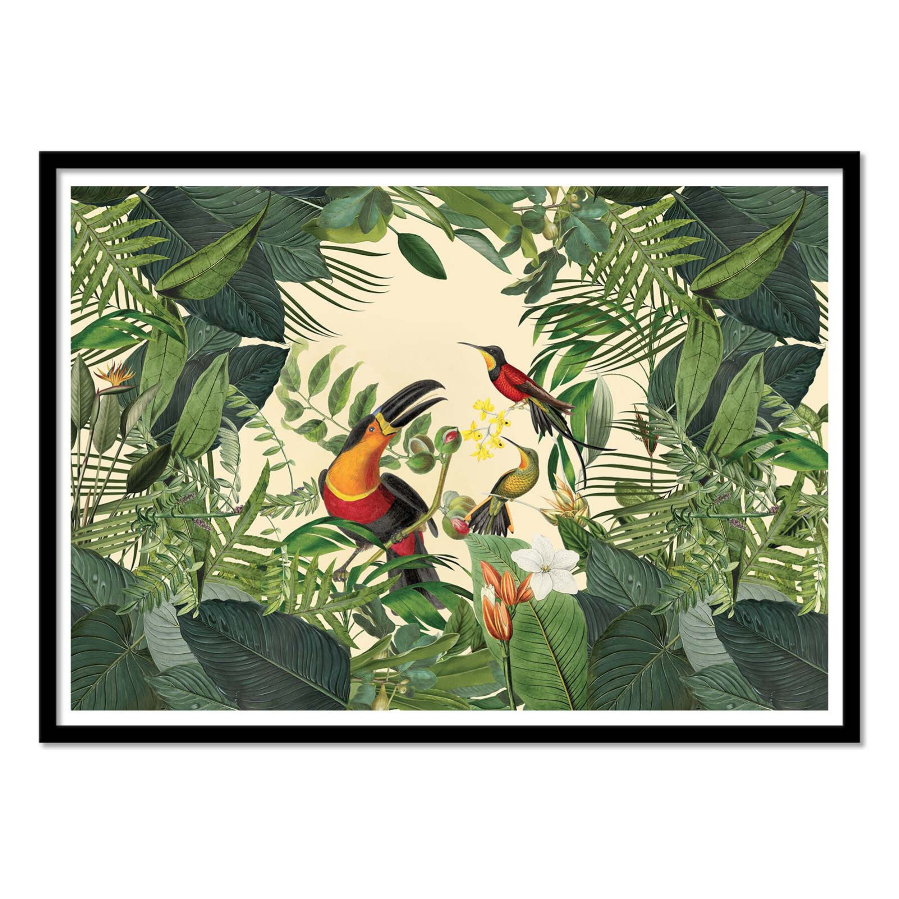 Affiche - Tropical Jungle Toucan - Andrea Haase