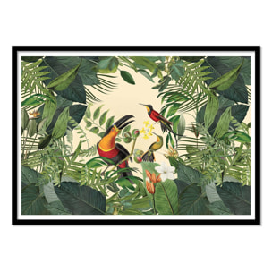 Affiche - Tropical Jungle Toucan - Andrea Haase