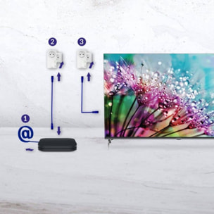 CPL Wifi STRONG KIT 600MB PACK DE 2