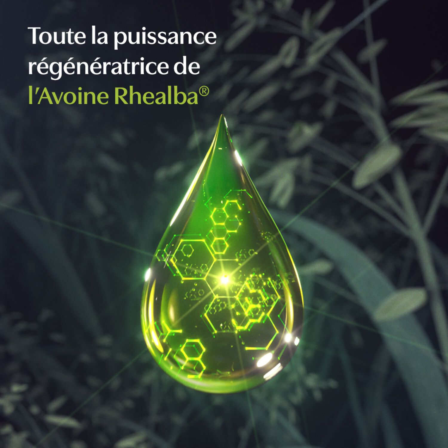 Les Indispensables - Gel Douche Surgras Peaux Fragiles Sèches