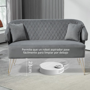 Sofá de 2 Plazas Tapizado en Terciopelo Sofá de Salón con 2 Almohadas Reposabrazos y Patas de Acero Doradas Sofá Pequeño Carga 240 kg para Dormitorio Oficina 124x69x76 cm Gris