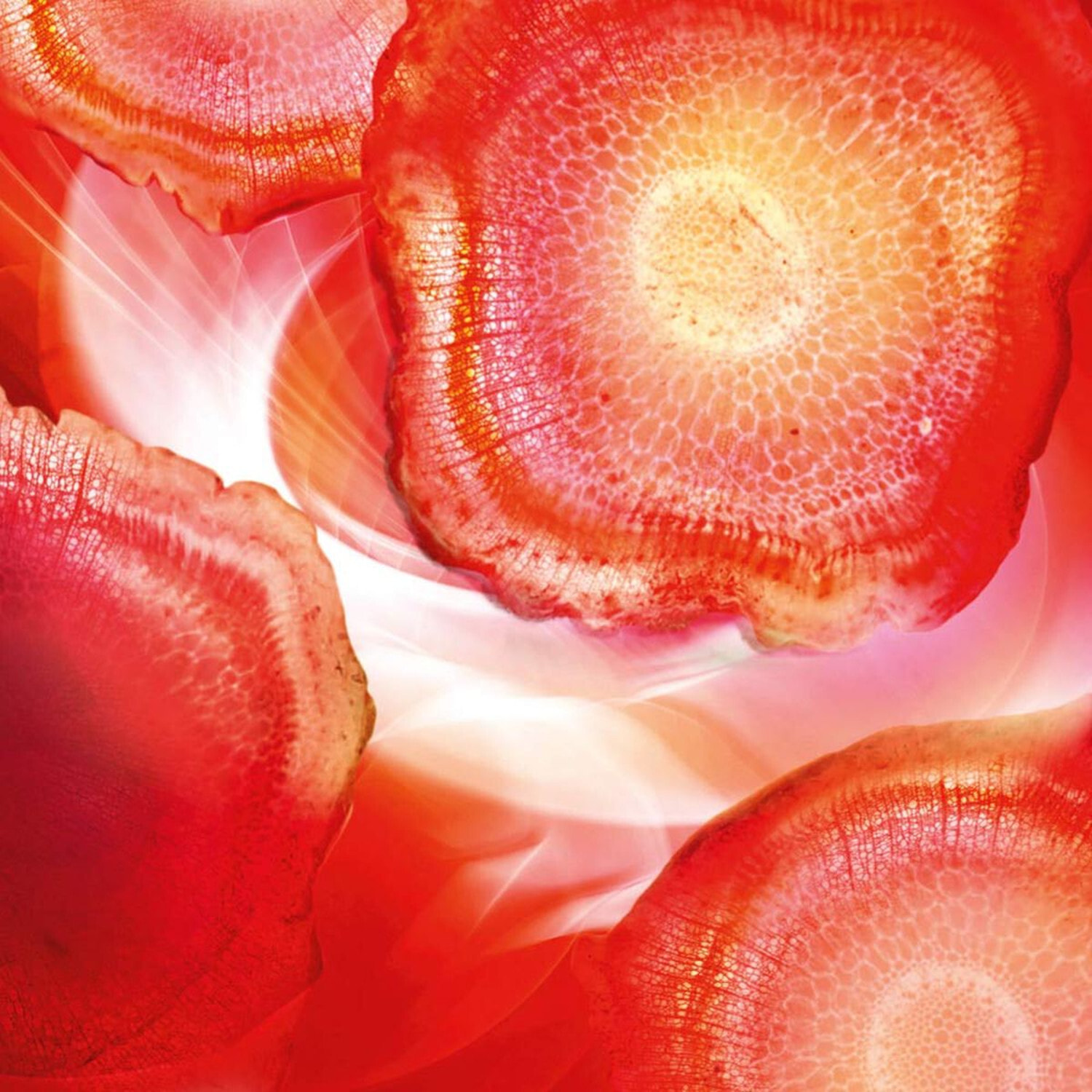 Crema Rossa Energizzante Giorno Anti-Rughe Extra Rassodante Revitalift Azione Profonda con Pro-Retinolo e Ginseng Rosso