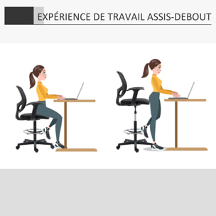Chaise bureau ergonomique assise haute réglable 110-132cm pivotant 360° maille respirante noir