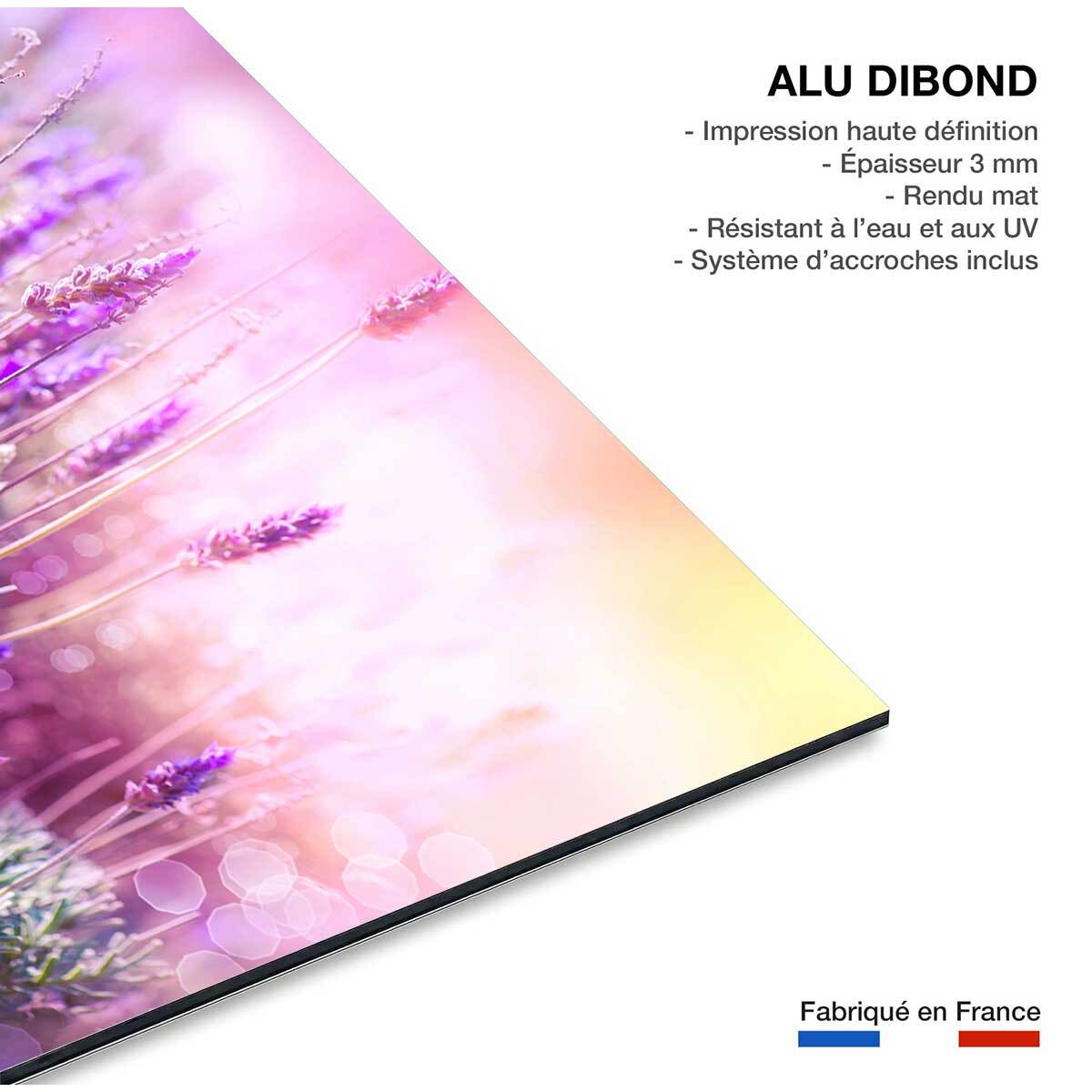 Tableau zoom lavande provençale Tableau alu Dibond