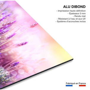 Tableau zoom lavande provençale Tableau alu Dibond
