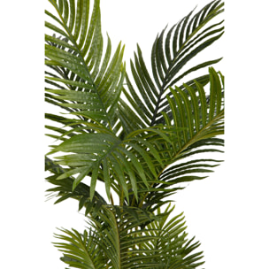 Pianta Di Areca Real Touch In Vaso Con 7 Diramazioni. Altezza 170 Cm - Pezzi 1 - 105X170X92cm - Colore: Verde - Bianchi Dino - Piante Artificiali