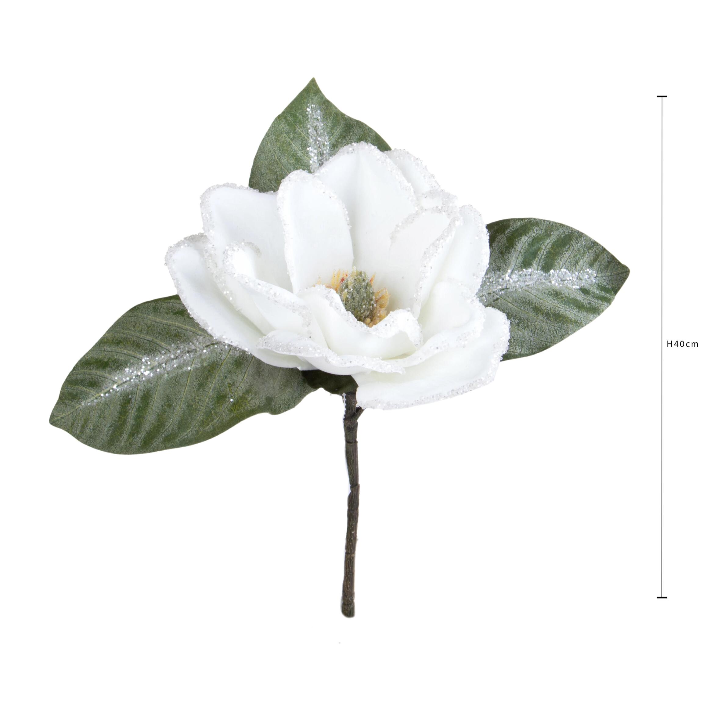 Ramo magnolia - Pezzi 6 - 18xH40x17cm - Bianchi Dino SpA