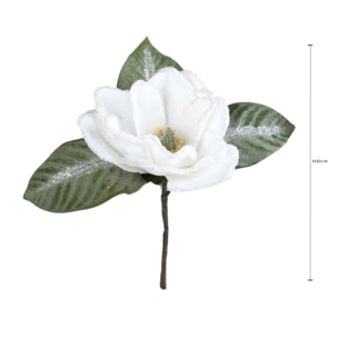 Ramo magnolia - Pezzi 6 - 18xH40x17cm - Bianchi Dino SpA