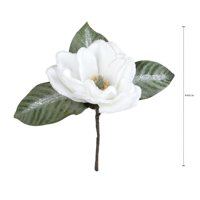 Ramo magnolia - Pezzi 6 - 18xH40x17cm - Bianchi Dino SpA