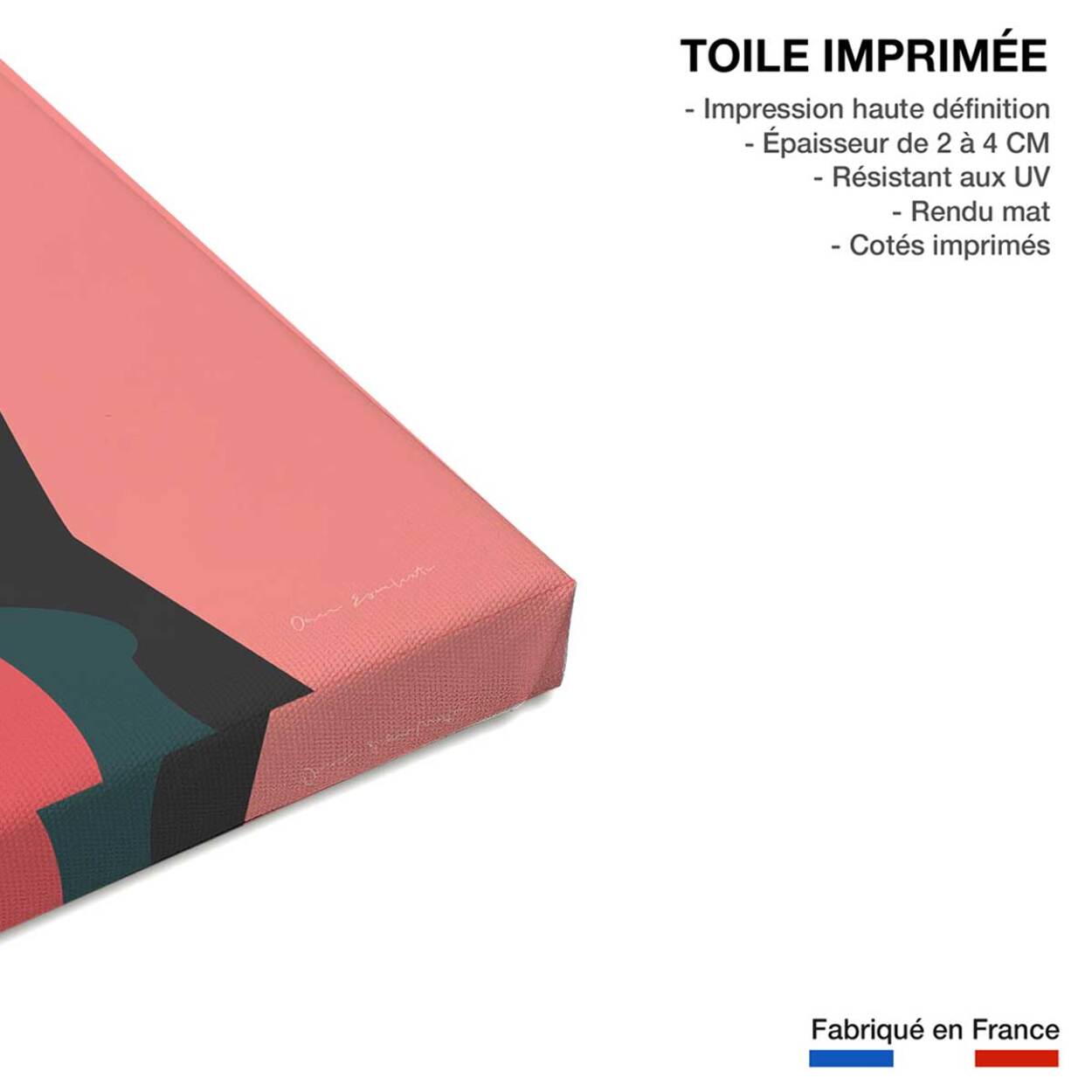 Tableau de voyage Japon et tradition Toile imprimée