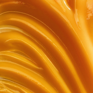 Sérum Eclat - Citron, Lys et Algues Marine