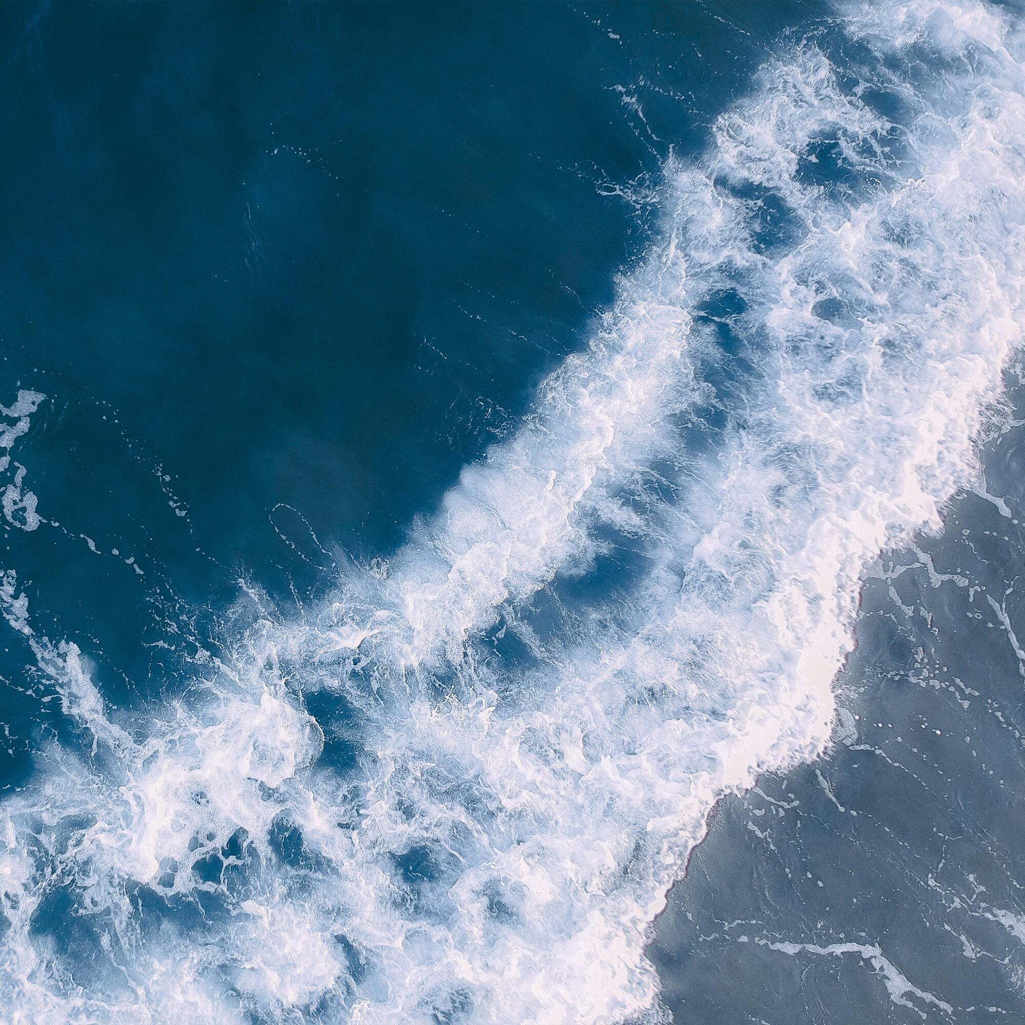 Housse de couette Caimari Negativo 80 fils