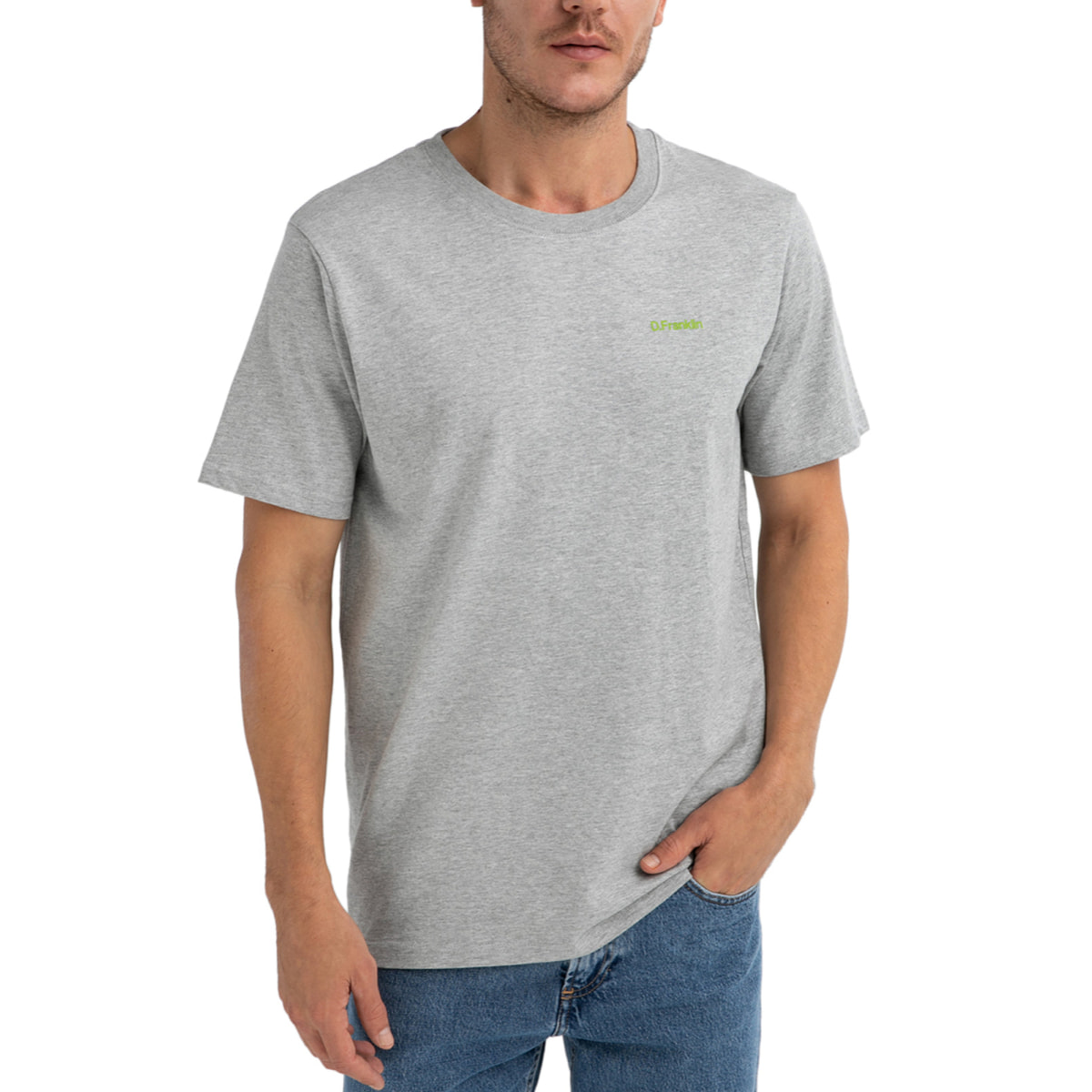 D.Franklin Camiseta Básica de Manga Corta Basic Logo Gris/Verde