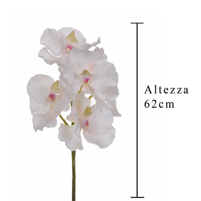 Orchidea Vanda. Altezza 62 Cm - Pezzi 4 - 18X62X11cm - Colore: Altro - Bianchi Dino - Fiori Artificiali