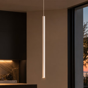 AXIOM EVO Lampada a sospensione Bianco