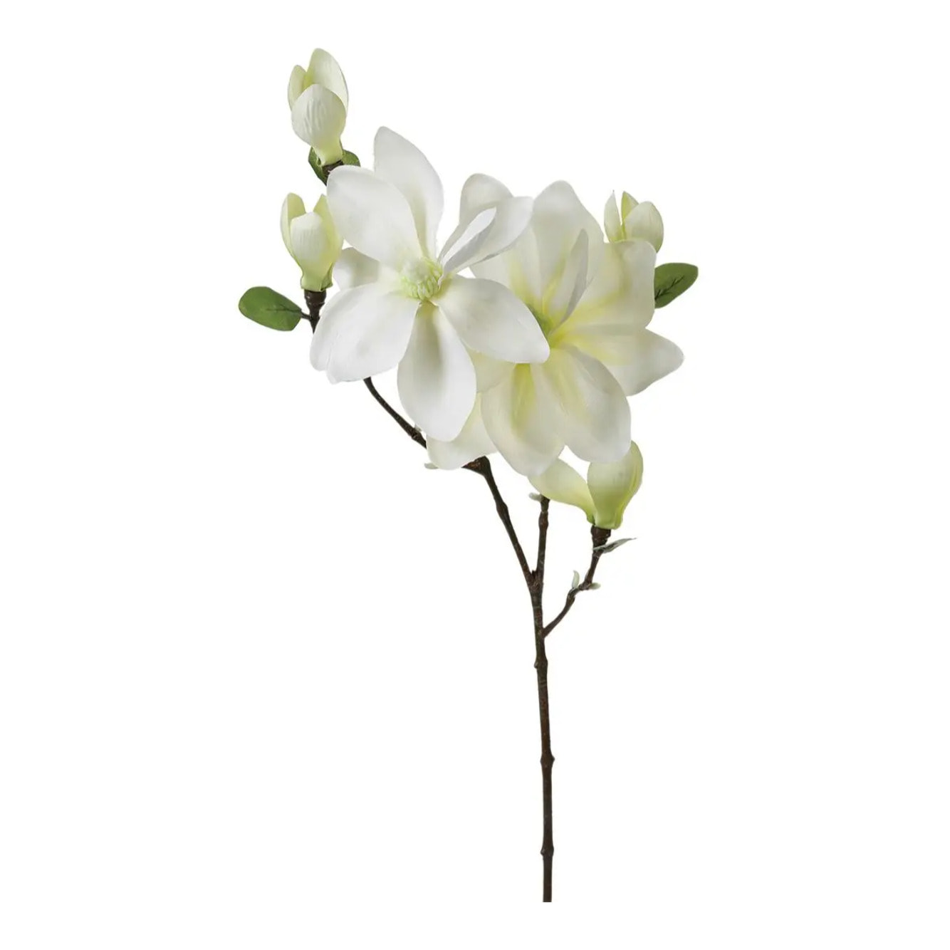 Tige de magnolia artificiel blanc H83cm