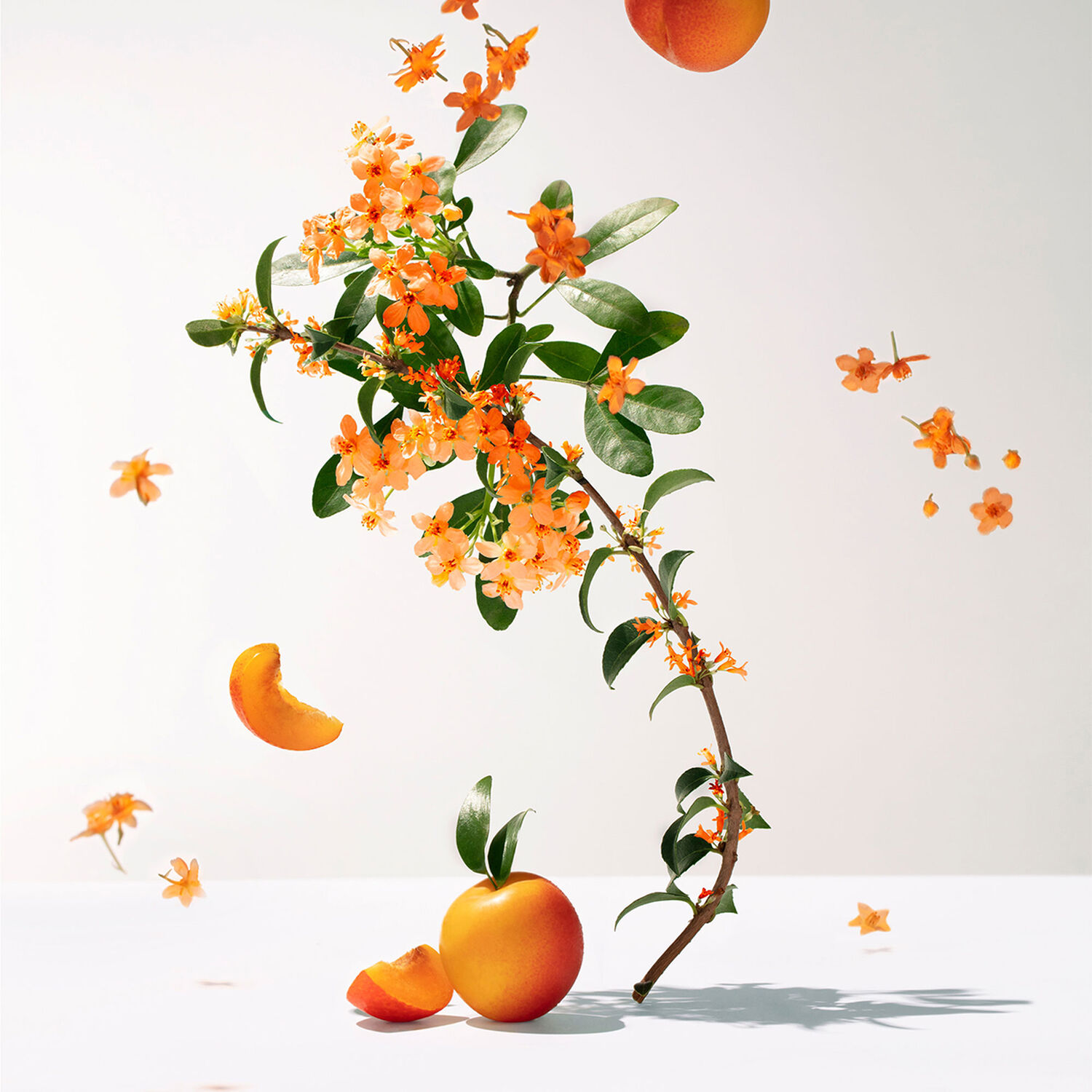 Fleur d'Osmanthus - Eau Parfumé Bienfaisante