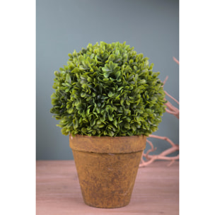 Sfera Bossolo/Buxus Con Vaso. Altezza 23 Cm - Pezzi 2 - 17X23X17cm - Colore: Verde - Bianchi Dino - Piante Artificiali