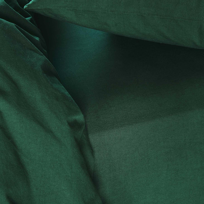 Drap housse Céleste