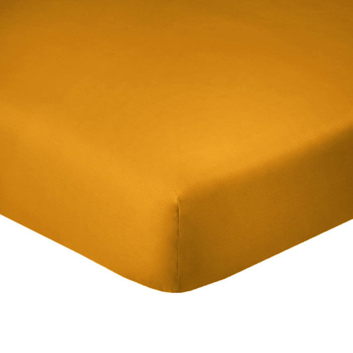 Drap housse uni 100% coton - essentiel - safran