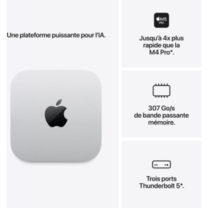 Ordinateur Apple MAC Mini Puce M5 Pro CPU 15 / GPU 16 coeurs / Mémoire RAM 24Go Stockage 512Go SSD Argent