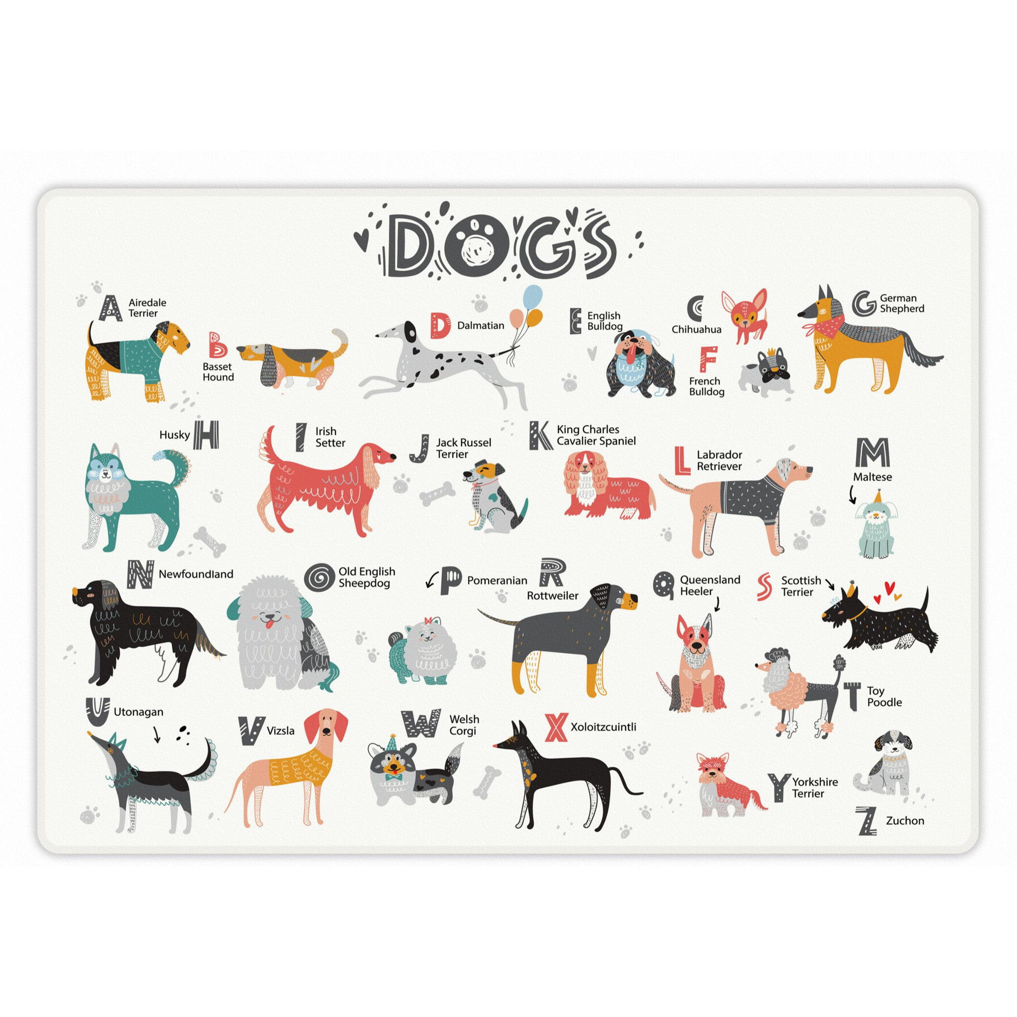 Alfombra de vinilo mascotas CERAMIKO, ABC Dogs 53x75 cm