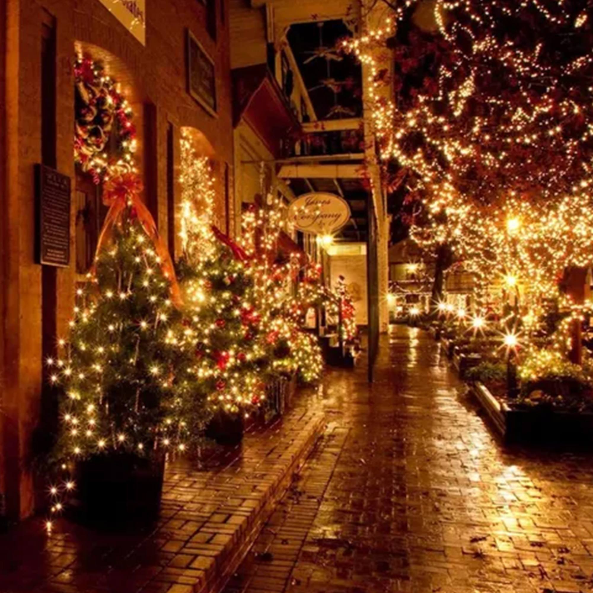 cortina de luces con 400 luces led blanco cálido 300x100cm