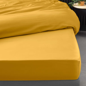 Drap Housse Uni 100% Percale de Coton ORIGINE - Jaune Curry