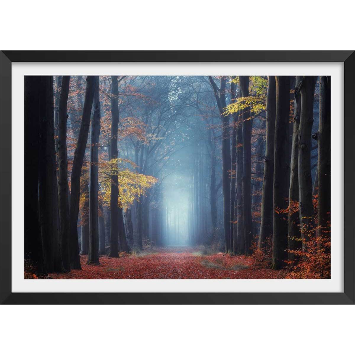 Affiche ""Lumière douce d'automne"" Affiche + cadre en bois - Noir