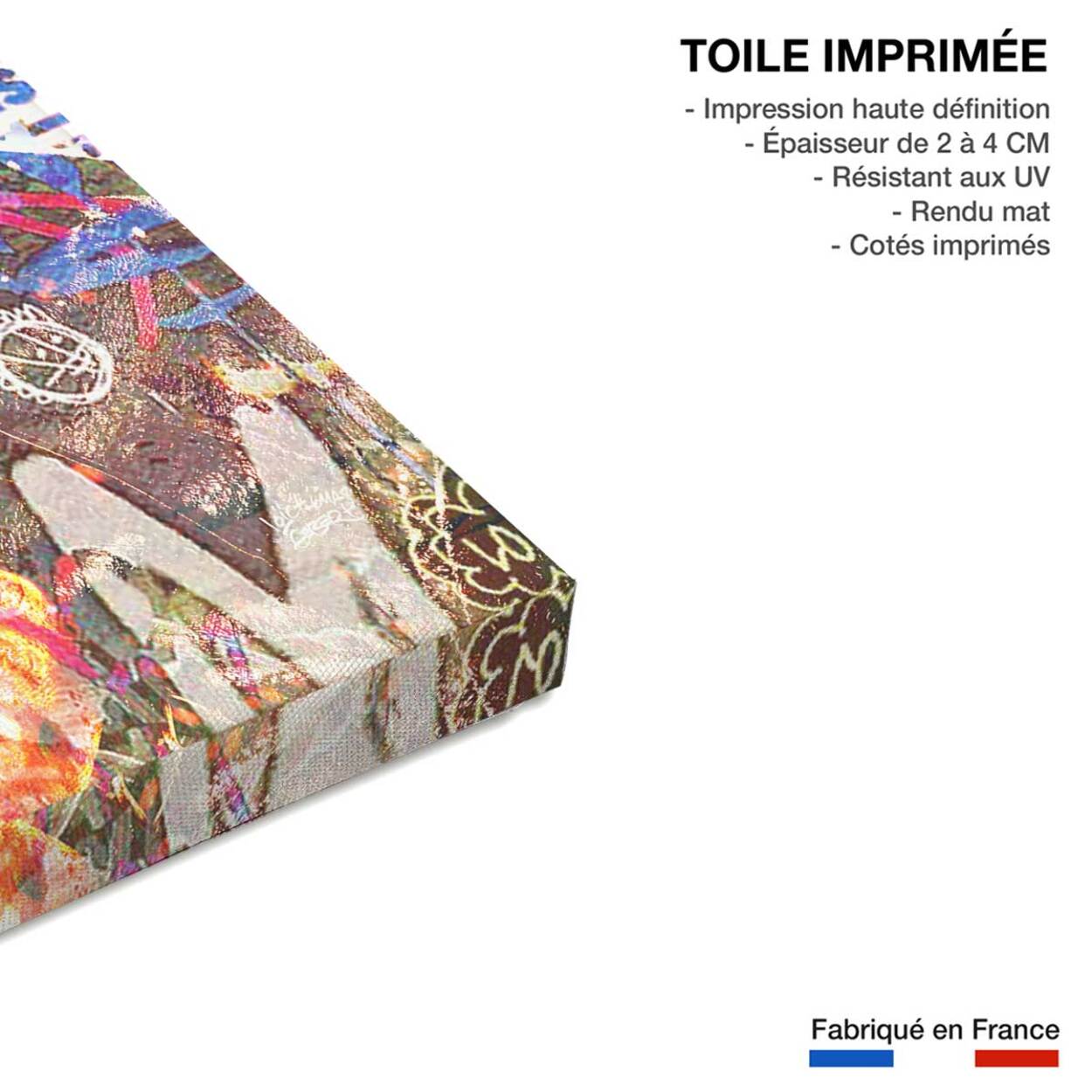 Tableau Affiche illustration graffiti pink Toile imprimée