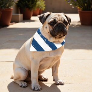 Pack de 2 bandanas pour animaux Cambrils