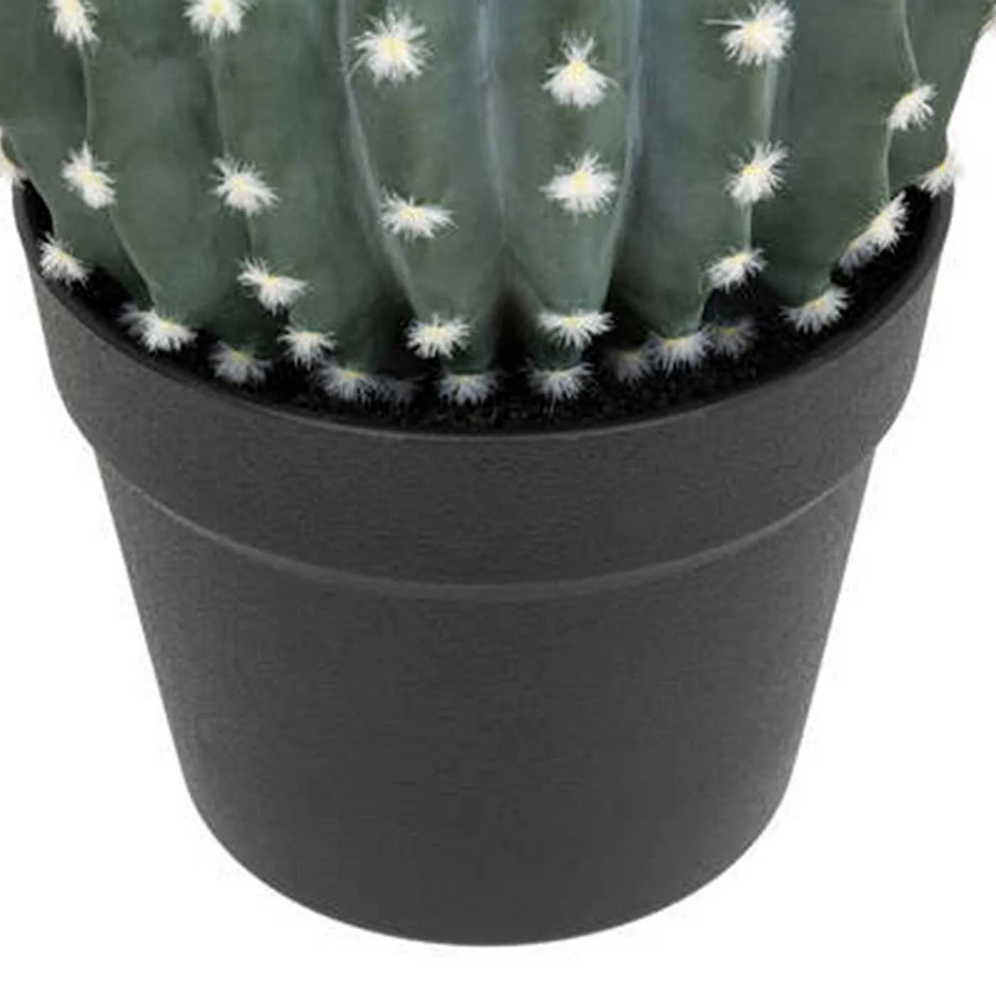 Planta cactus tayler 25cm