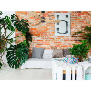 Ventilador de techo Reversible Termostato Wifi Motor DC Techos Inclinados Mando a Distancia Hypersilence Memoria ParosD132C0365203 PURLINE