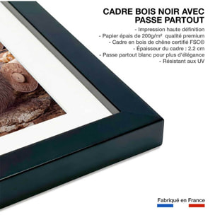 Affiche enfant spareth le fabricant de jouets  Affiche + cadre en bois - Noir