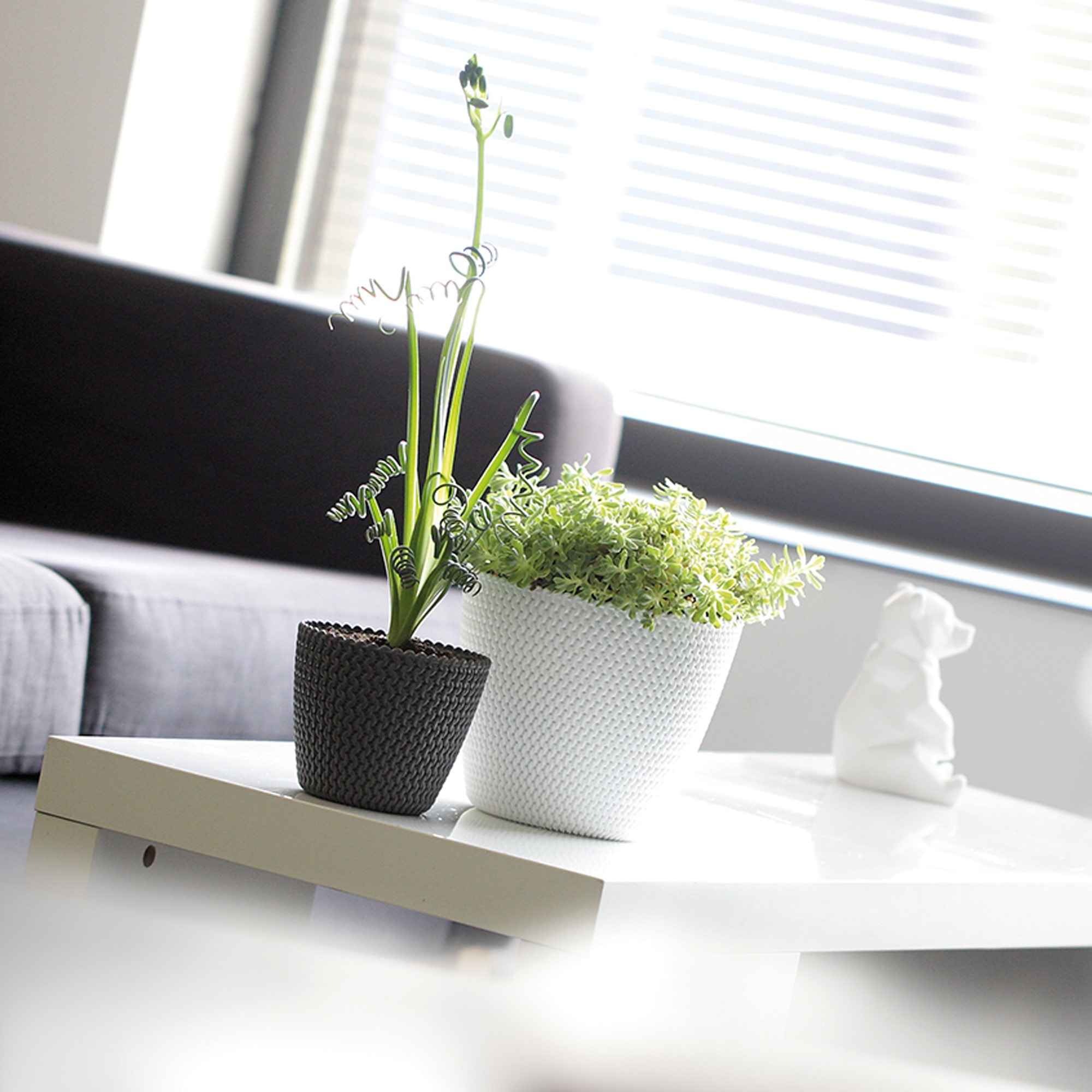 Maceta redonda de plastico en color antracita