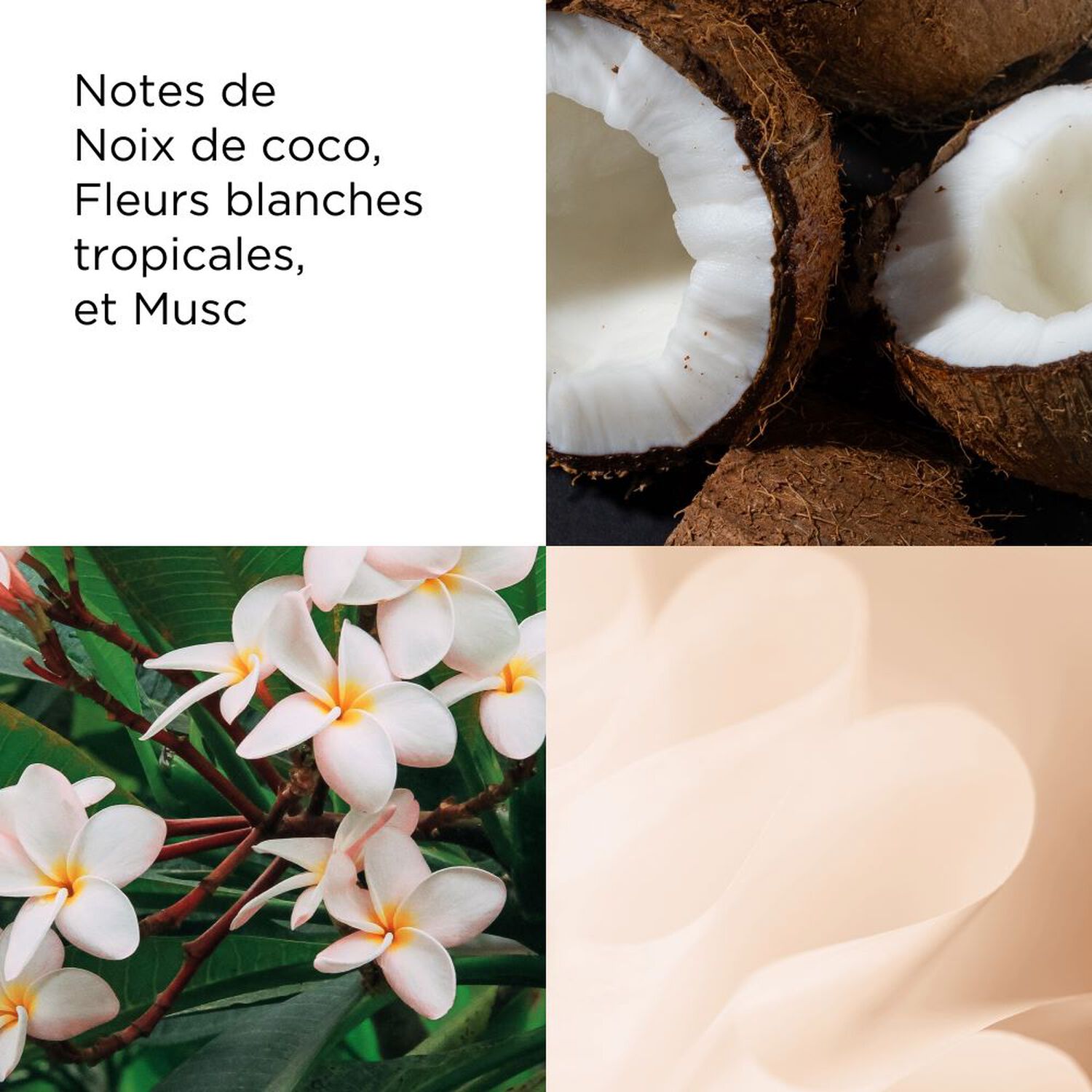 Green Tea Coconut Breeze  - Crème Nectar au Miel pour le Corps 500 g