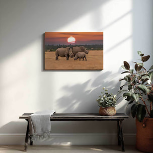 Tableau rhinocéros en famille au coucher du soleil Toile imprimée