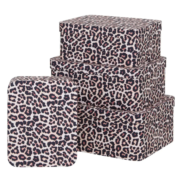 Lot de 4 boîtes Polybox