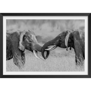 Affiche éléphant ...qui es tu? Affiche + cadre en bois - Noir