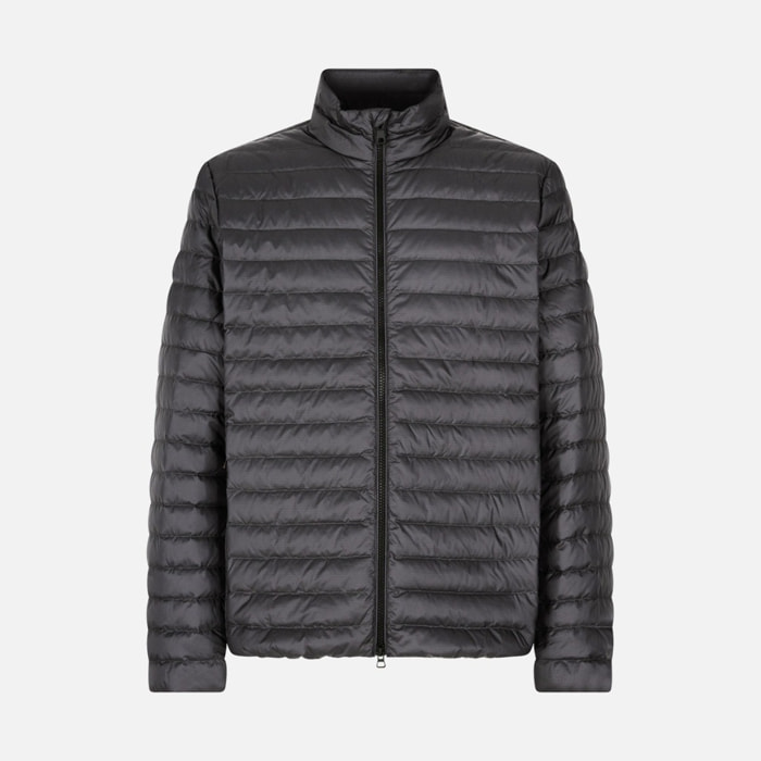 Chaquetas Hombre de la marca GEOX  modelo M DERECK GRIS