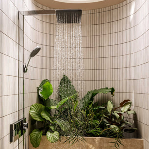 Colonne de douche Raindance Alive Q 2 jets avec thermostatique ShowerSelect Comfort, chromé